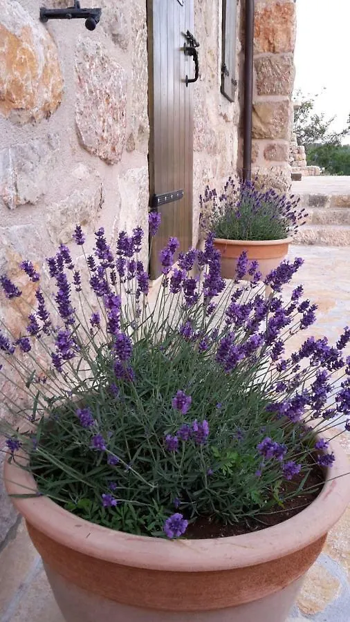 Willa Stone House Bura Tribanj-Kruscica